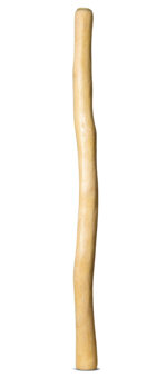 Medium Size Natural Finish Didgeridoo (TW1360)